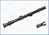 NISSA 1302060J10 Camshaft